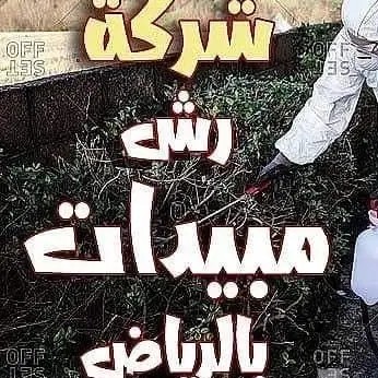 التقوى كلين
